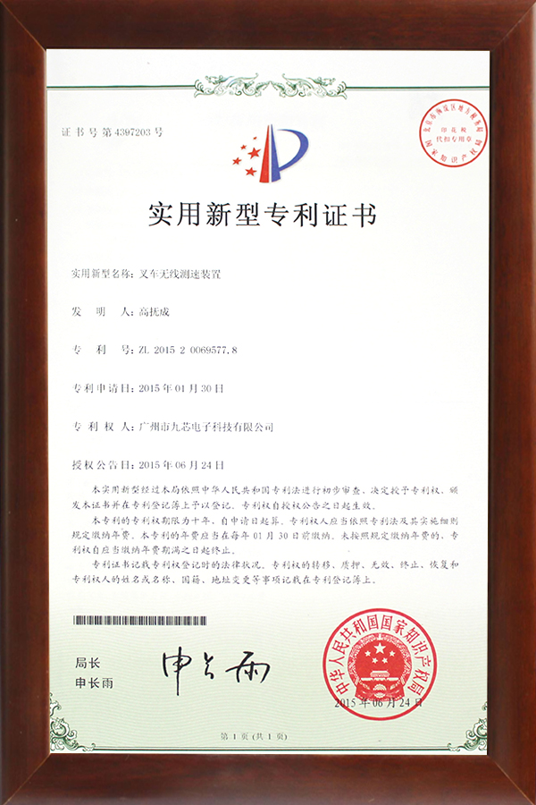 荣誉证书（一）